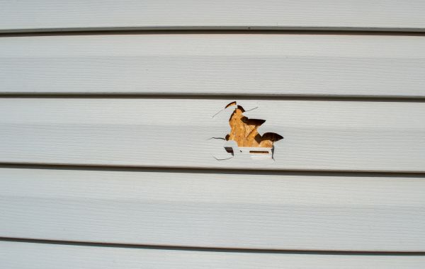 Siding Hole Patching in Conroe